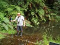 A stream gauging. Many detailed velocity measurements are taken across the stream cross-section.